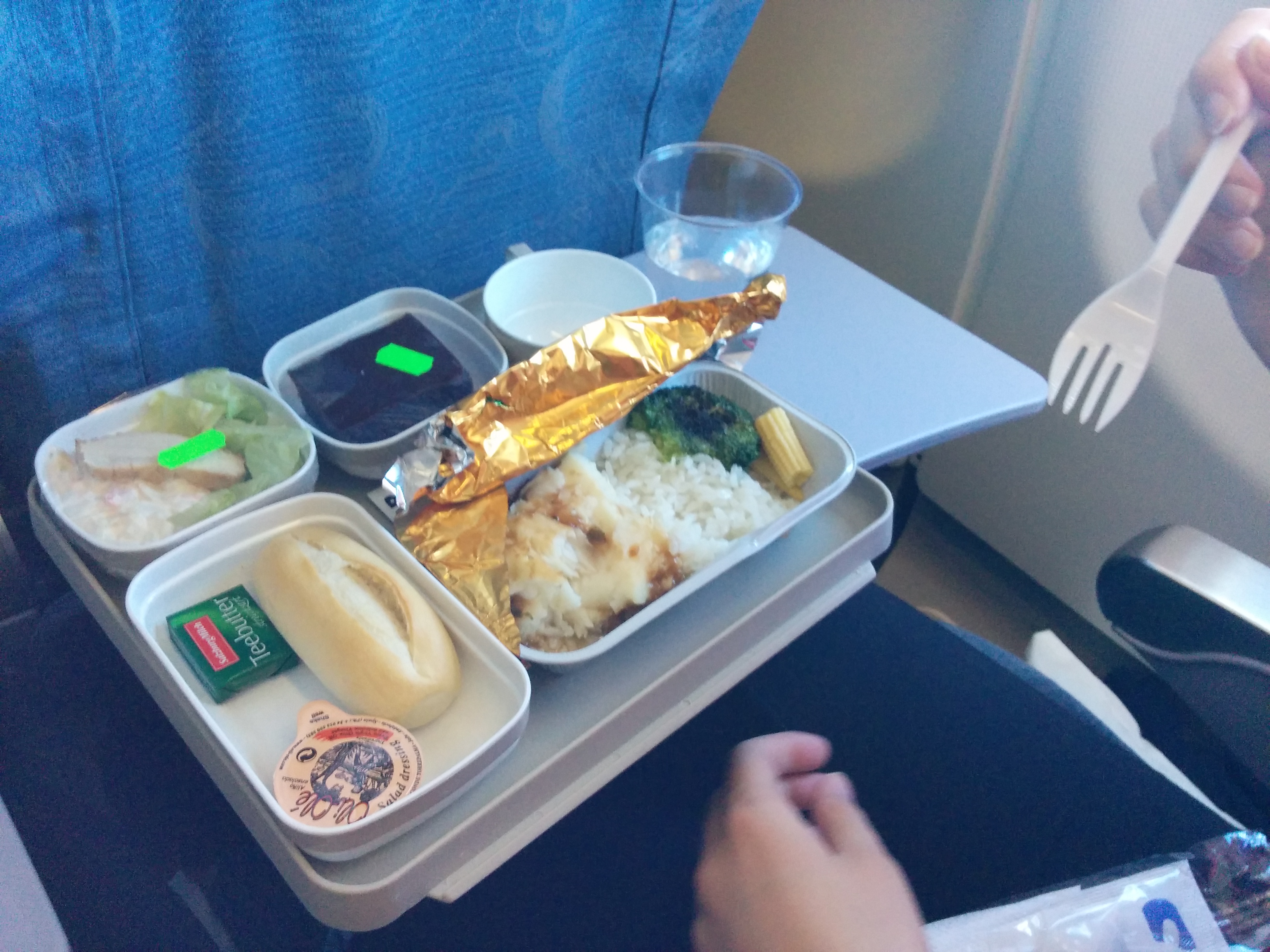 Airplane food