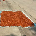 Someone drying spices on the street
