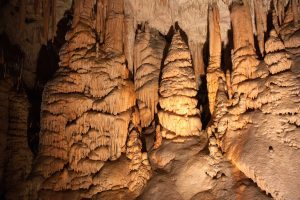 Stalagmites in Postojna's cave