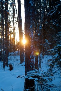 Two hours of sun during the winter in Luleå