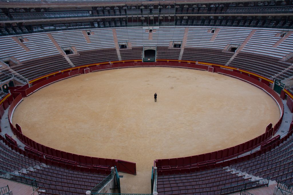 Bull fighting arena