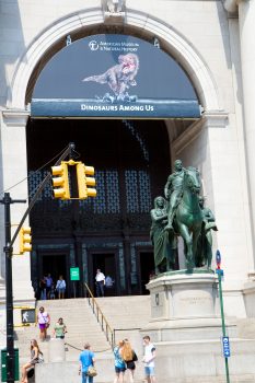 Natural History Museum, New York