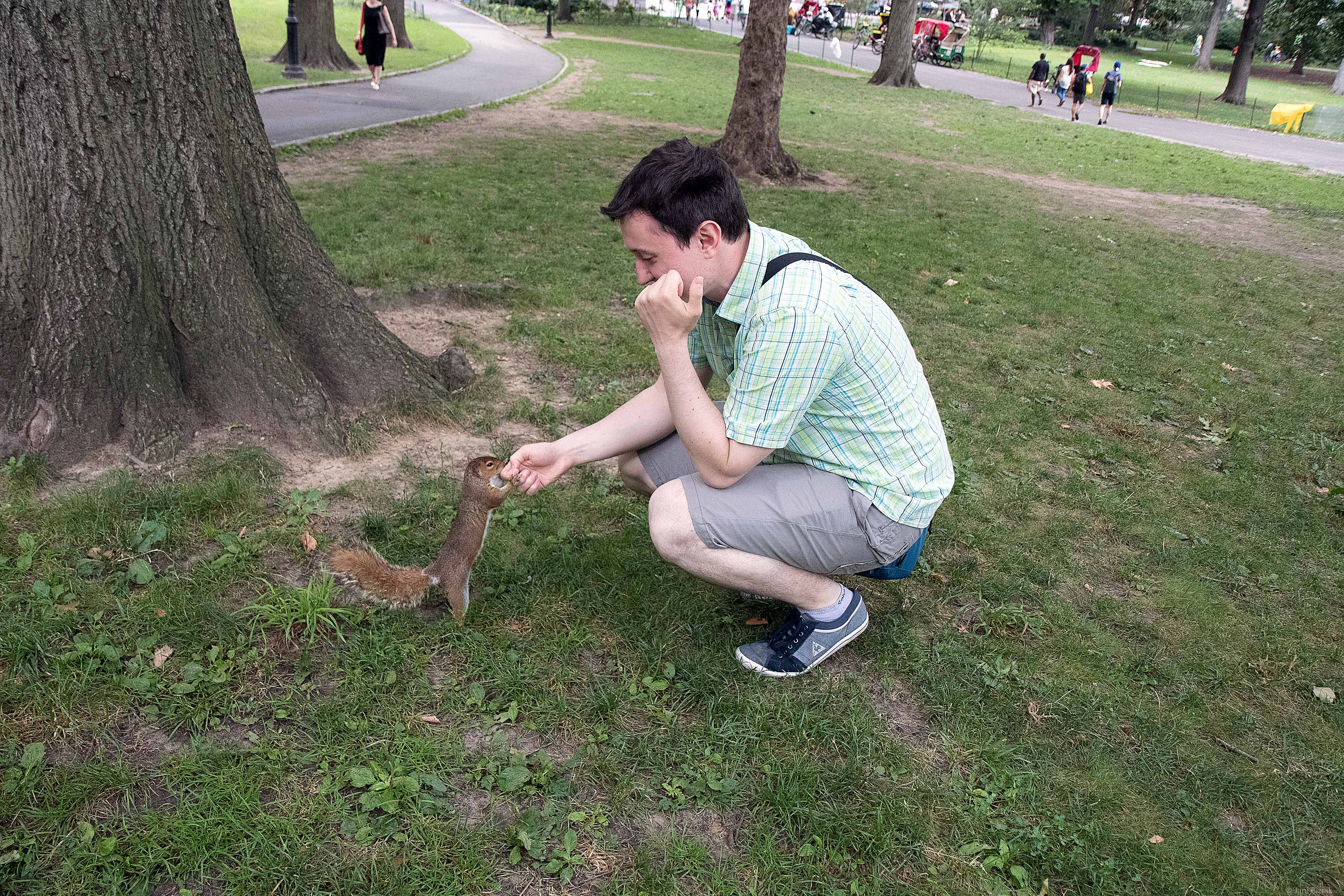 Trying to feed a Squirrel