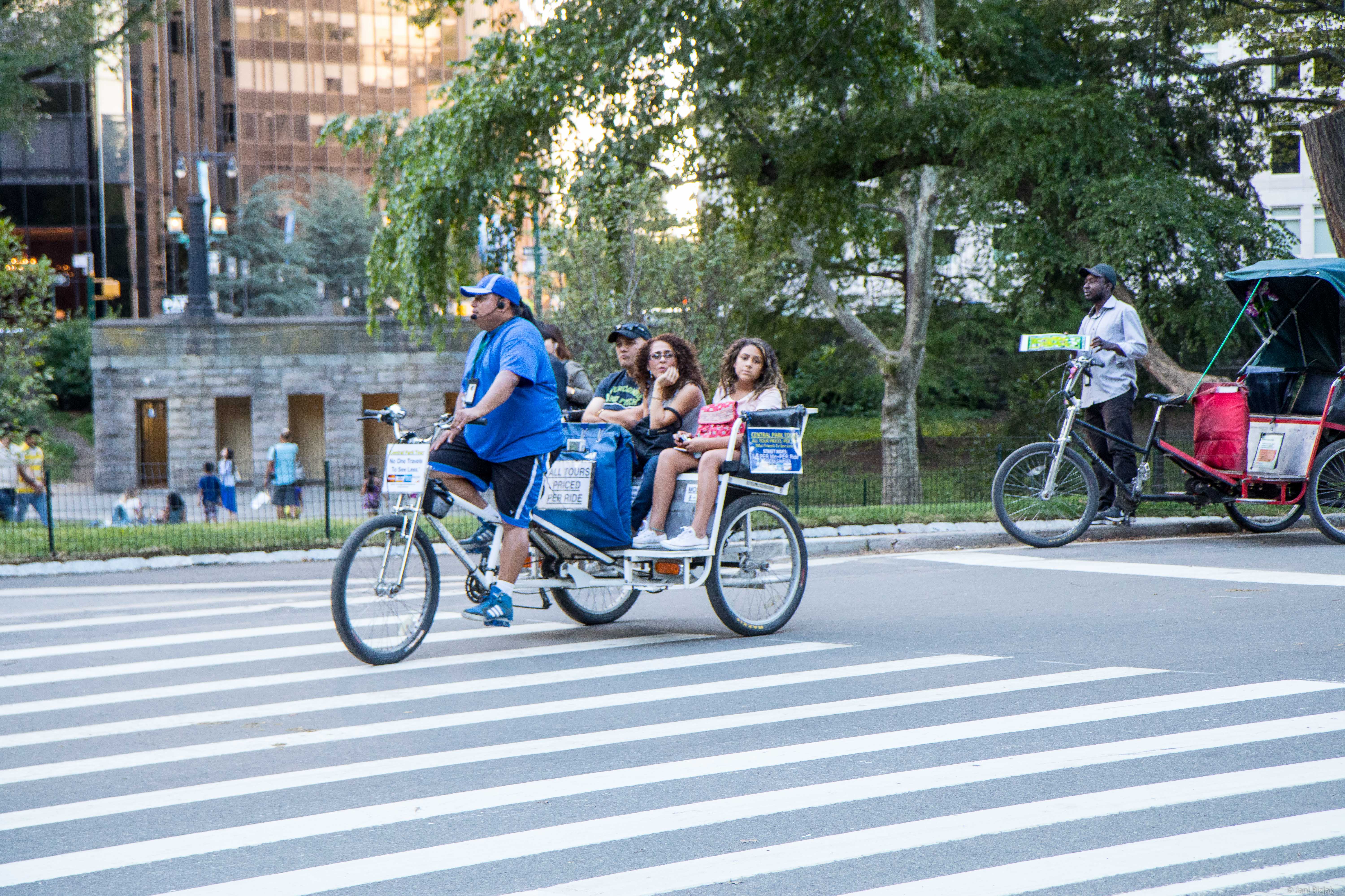 You can hire rickshaws to drive you around central park. It's quite expensive though, 15$ for 5 minutes. 