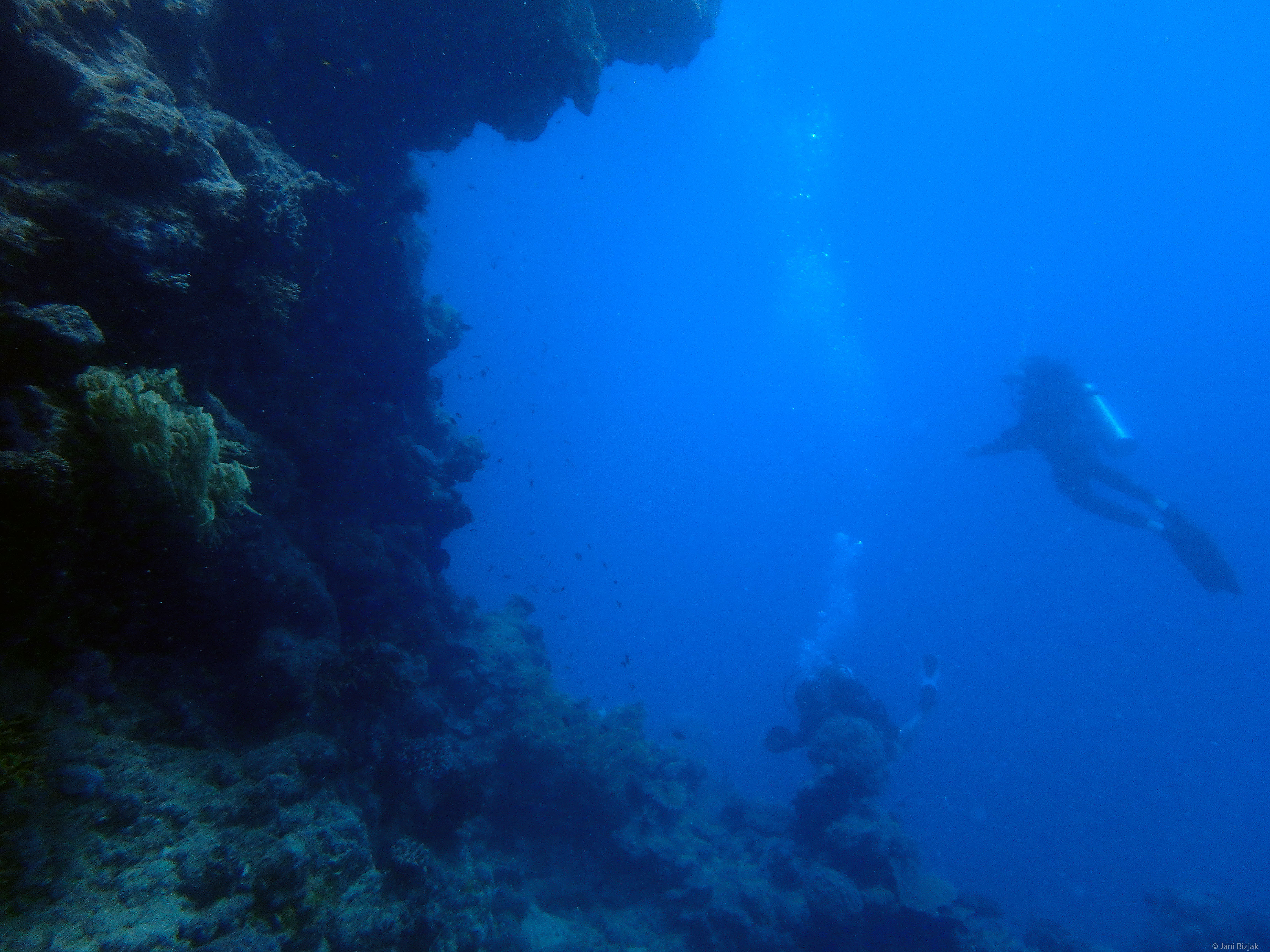 The water around the reef is quite shallow, we didn't go deeper than 10m and were most of the time at about 5m.