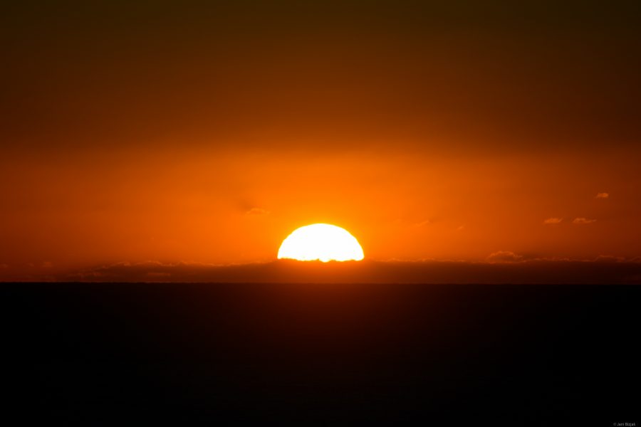 Sunrise from 53rd floor.