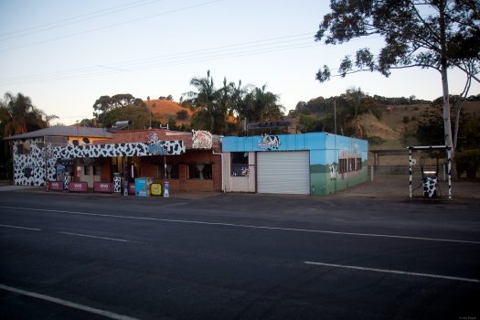 At least we had an opportunity to see this cow gas station on the way.