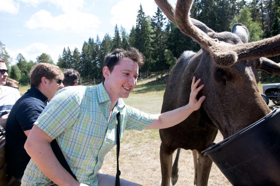 Petting a moose.